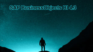 businessobjects4-3-color